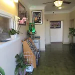The Treme Hotel